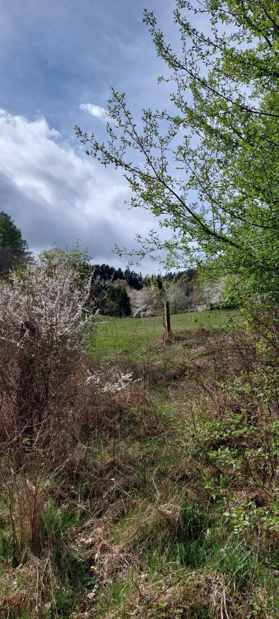 Chata Na Samote, Sumava Vrhavec 외부 사진