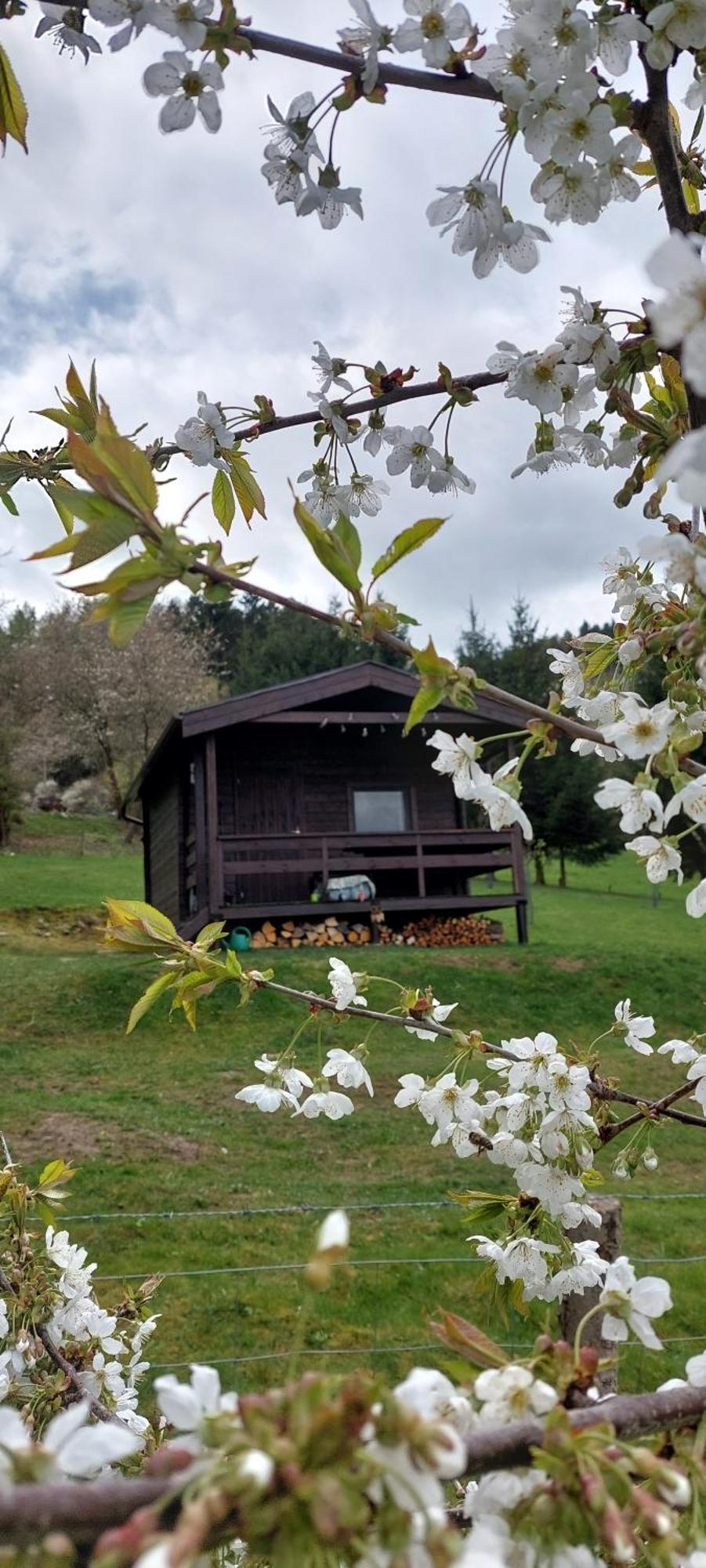 Chata Na Samote, Sumava Vrhavec 외부 사진