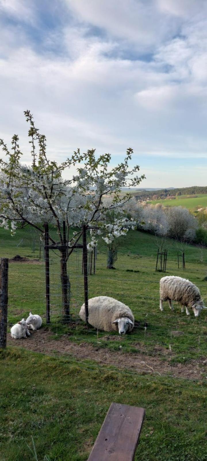 Chata Na Samote, Sumava Vrhavec 외부 사진